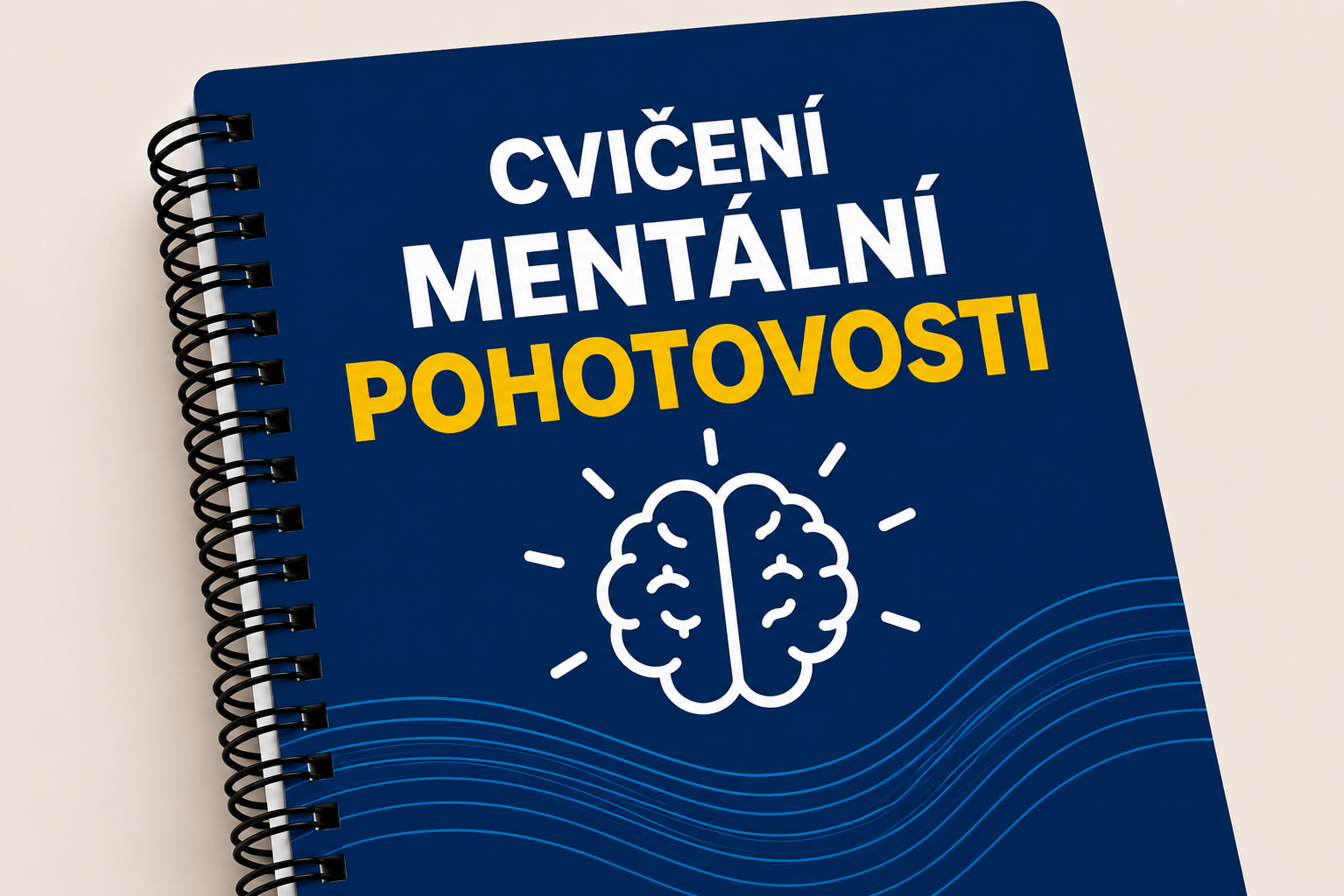 Mentální obratnost