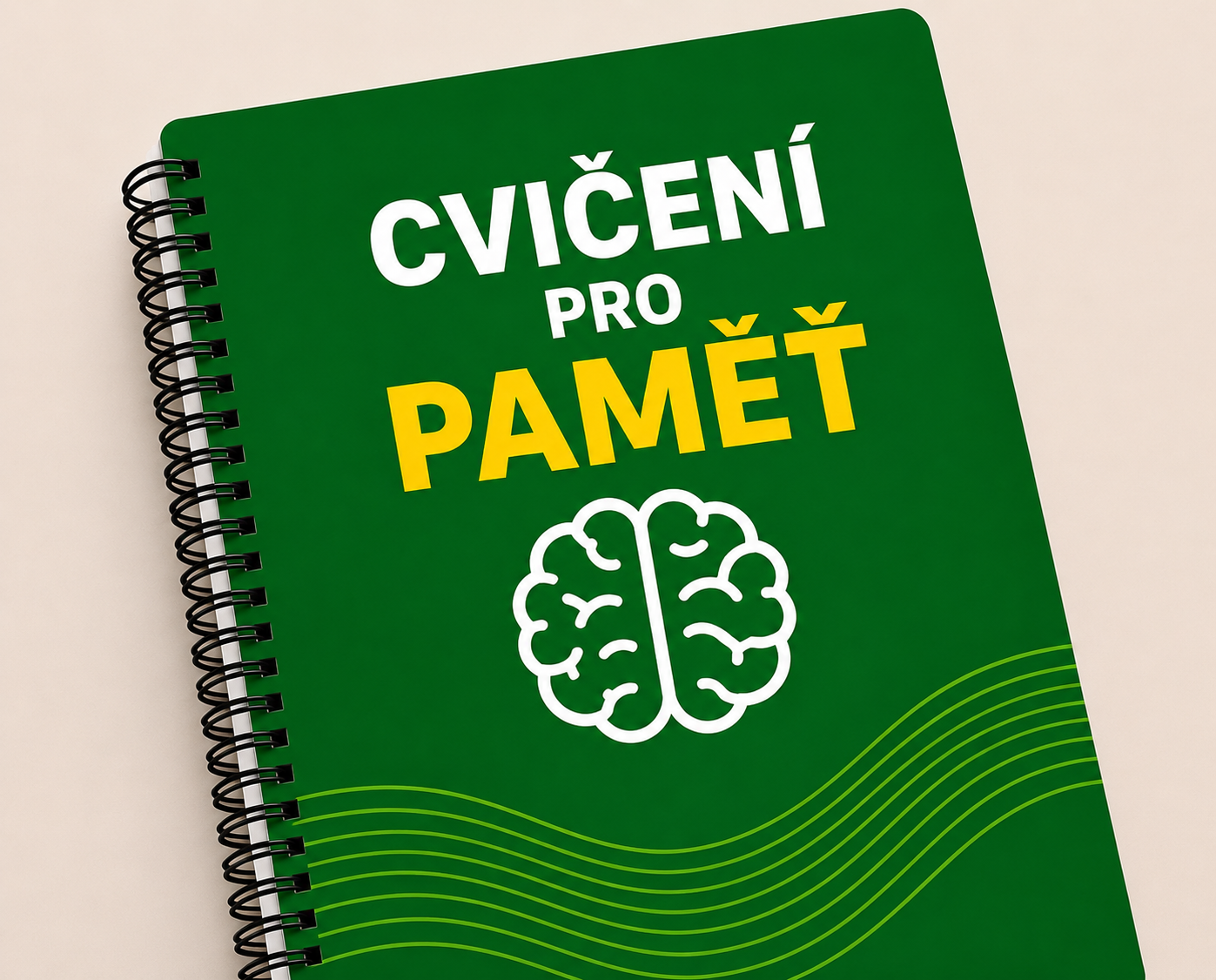 Paměť